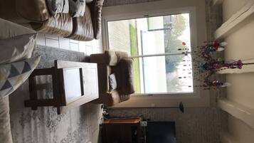 TV, fireplace, DVD player, books