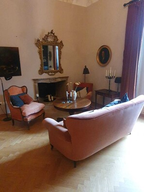 Smart TV, chimenea, reproductor de DVD y libros 