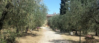 In Chianti along the Francigena - La Voliera Country House 