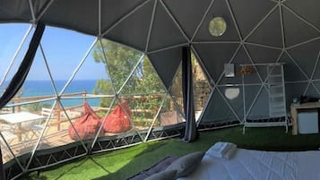 1 habitación y ropa de cama
