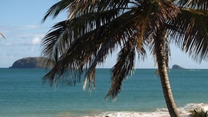 A beach with palm trees and clear blue water. - Villa Mangotine, luxury villa in deshaies in Guadeloupe (Deshaies)