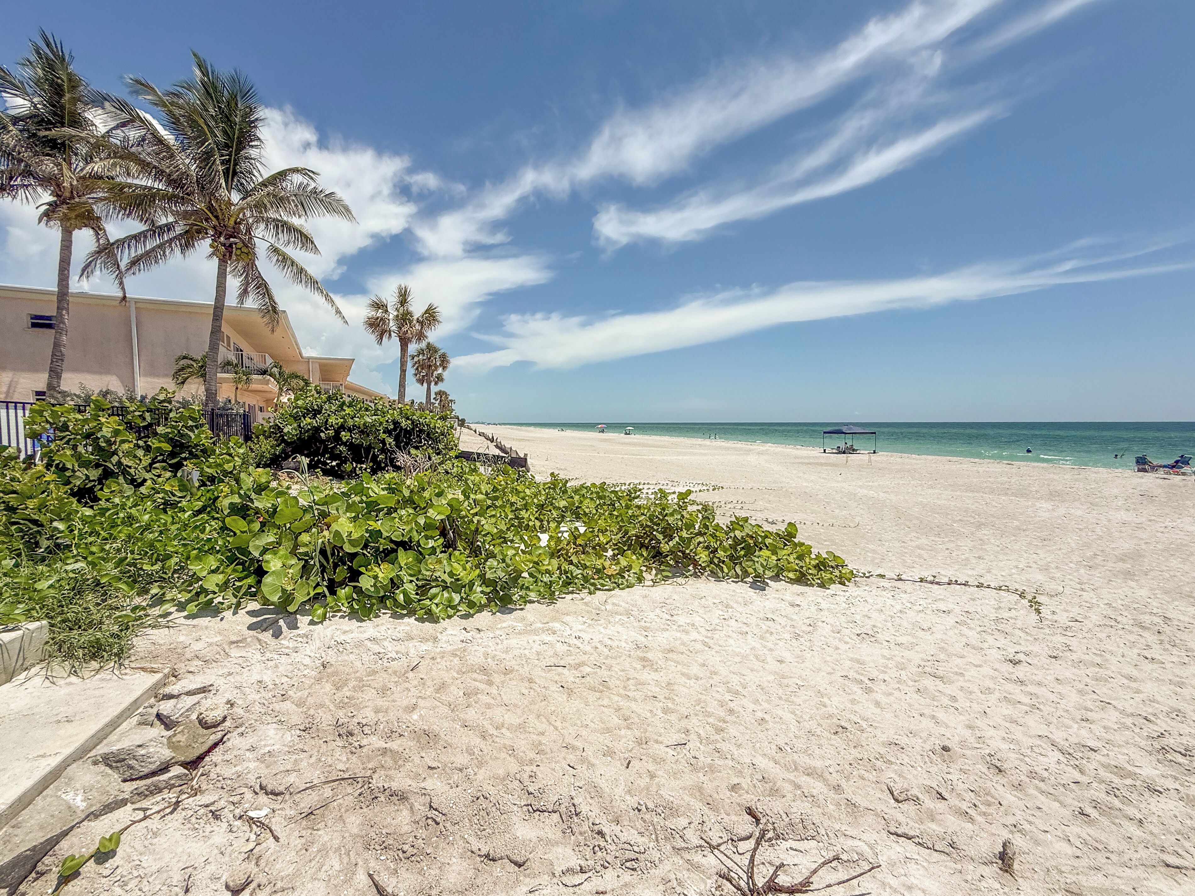 A beach with palm trees, a sandy shore, and a building with balconies.