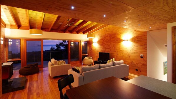 TV, fireplace, DVD player