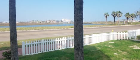 Stroll along the scenic coastal road, lined with a white picket fence and palm trees.