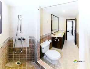 Shower, hair dryer, bidet, towels