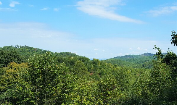 Üppige, grüne Landschaft mit dichtem Blätterwerk und weit entfernten Hügeln unter blauem Himmel.
