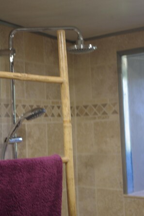 Shower, hair dryer, towels, soap
