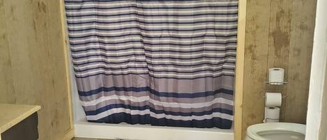 Ein Badezimmer mit Duschvorhang, Toilette und einem kleinen Teppich.