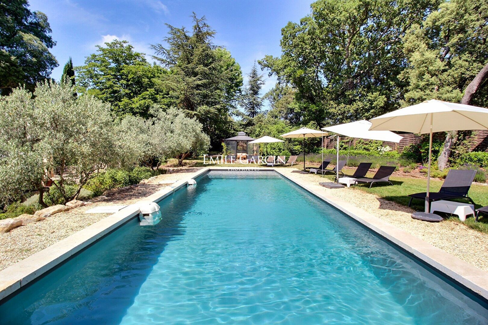 Ein Schwimmbecken mit Liegestühlen und Sonnenschirmen, umgeben von Bäumen und Grün.