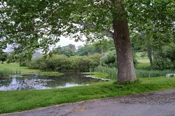 Àrea exterior de l'allotjament