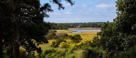 المنطقة المحيطة بالمنشأة