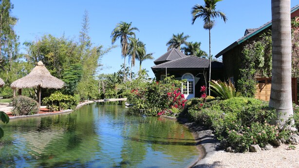 A pool surrounded by tropical vegetation and a building with a thatched roof. - Casa Tranquila Miami, A Luxury Ranch-Style Retreat (Miami)