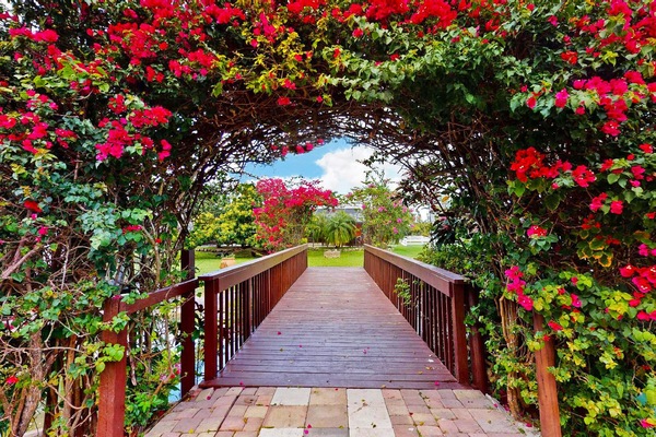 Àrea exterior de l'allotjament