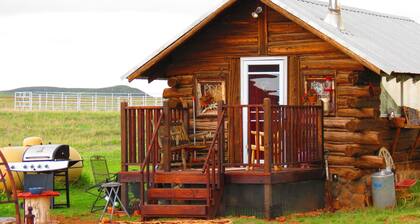 Historic Cabin with Hot tub, Sauna