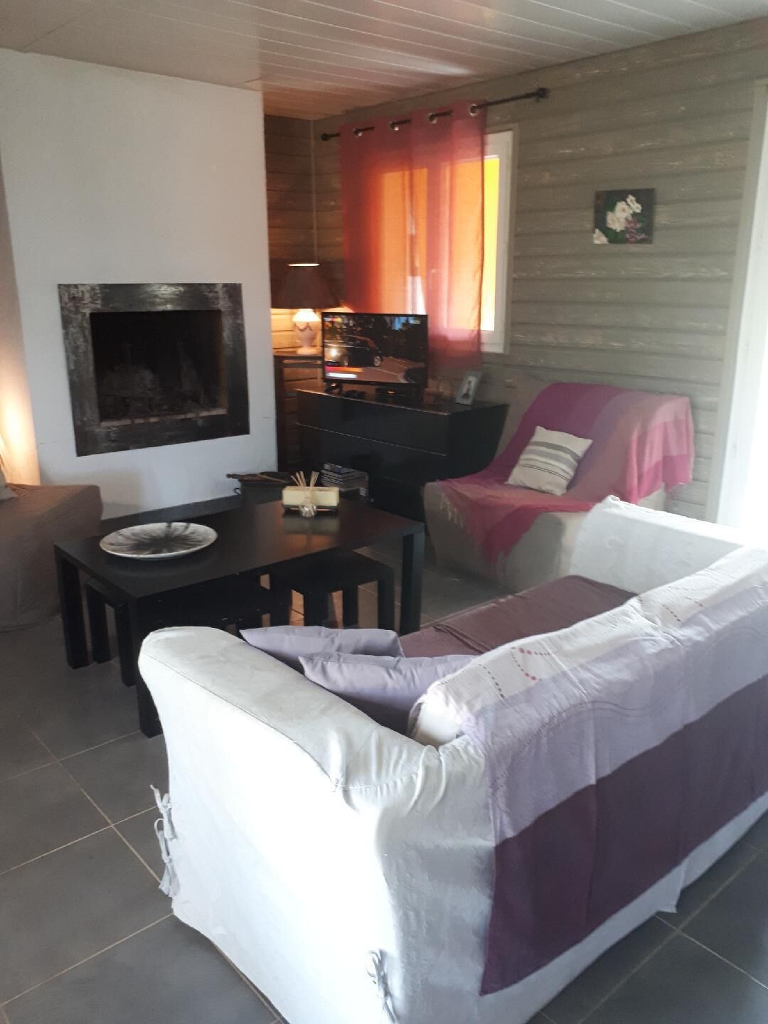 TV, fireplace, video games, books