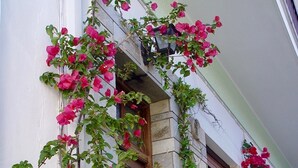 A building with a stone facade, a wooden door, and pink flowers climbing the wall. - Daskios House , Skopelos Chora, a fully equipped house ideal for 2-3 guests (Skopelos)