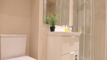 Shower, hair dryer, towels