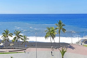 Une plage bordée de palmiers, une promenade en bord de mer et une vue sur l’océan.