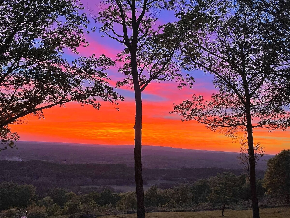 Imagen de perfil del propietario o de la propietaria