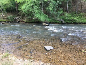 Property grounds - Farmhouse, mountain stream, 63 wooded acres, 21 min from Lake Lure (Rutherfordton)