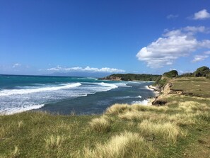 Playa en los alrededores