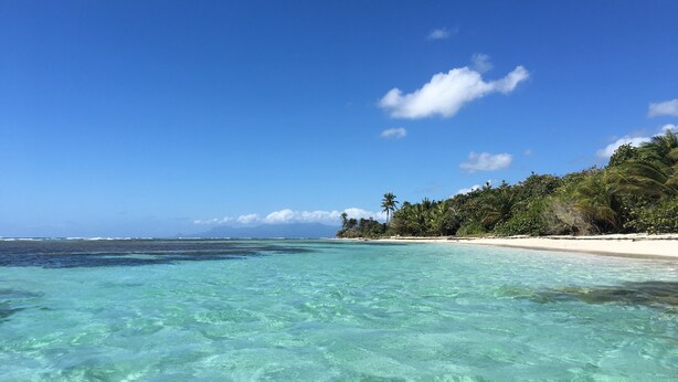 Ein Strand mit klarem türkisblauem Wasser, sandigem Ufer und üppiger tropischer Vegetation.