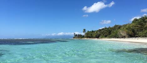 Playa en los alrededores