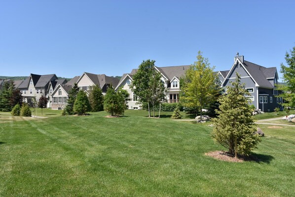 A row of modern, two-story houses with a well-maintained lawn and young trees.