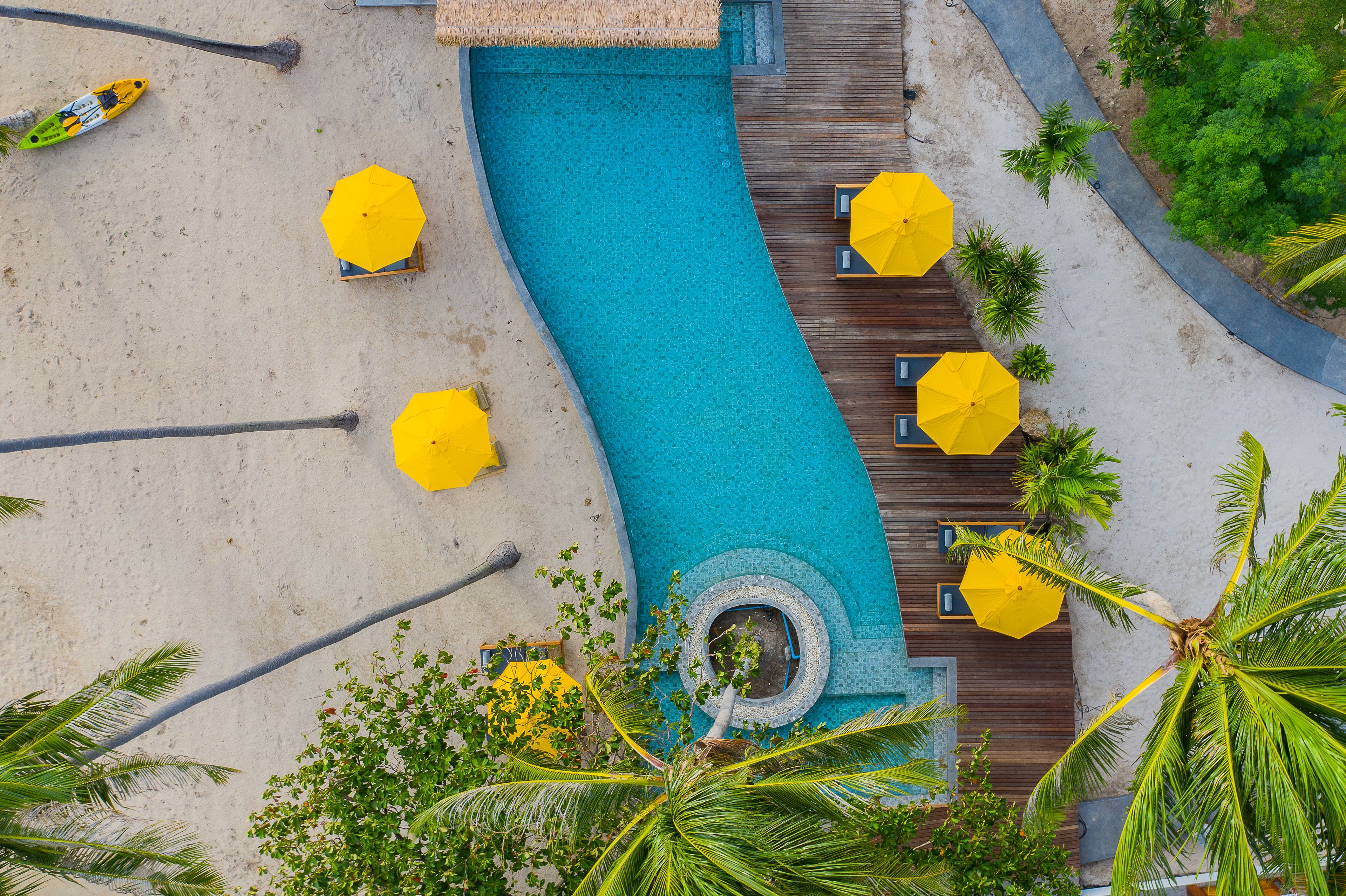 A pool area with a curved edge, surrounded by palm trees and yellow umbrellas.
