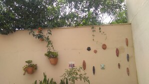 A wall with various potted plants and decorative items. - Studio Morro das Pedras (Florianópolis)