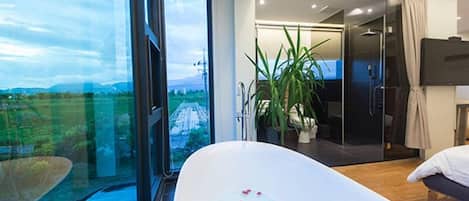 Shower, free toiletries, hair dryer, slippers