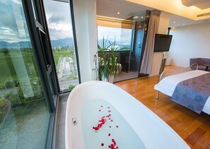 Shower, free toiletries, hair dryer, slippers