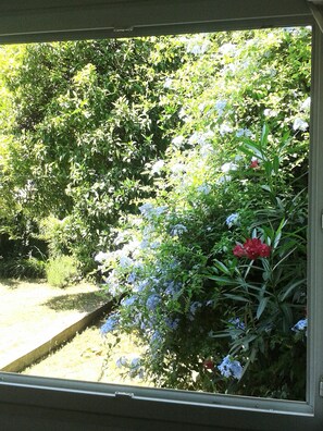 Property grounds - F2 ON THE GROUND FLOOR 150m from the beaches and shops / 5pers / 48m2 (Cagnes-Sur-Mer)