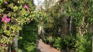 A narrow pathway flanked by lush greenery and flowering plants. - CHARMING STUDIO - HEART OLD TOWN OF ANTIBES NEAR THE SEA AND OUT (Antibes)