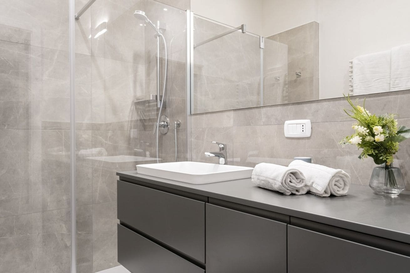 Shower, hair dryer, bidet, towels