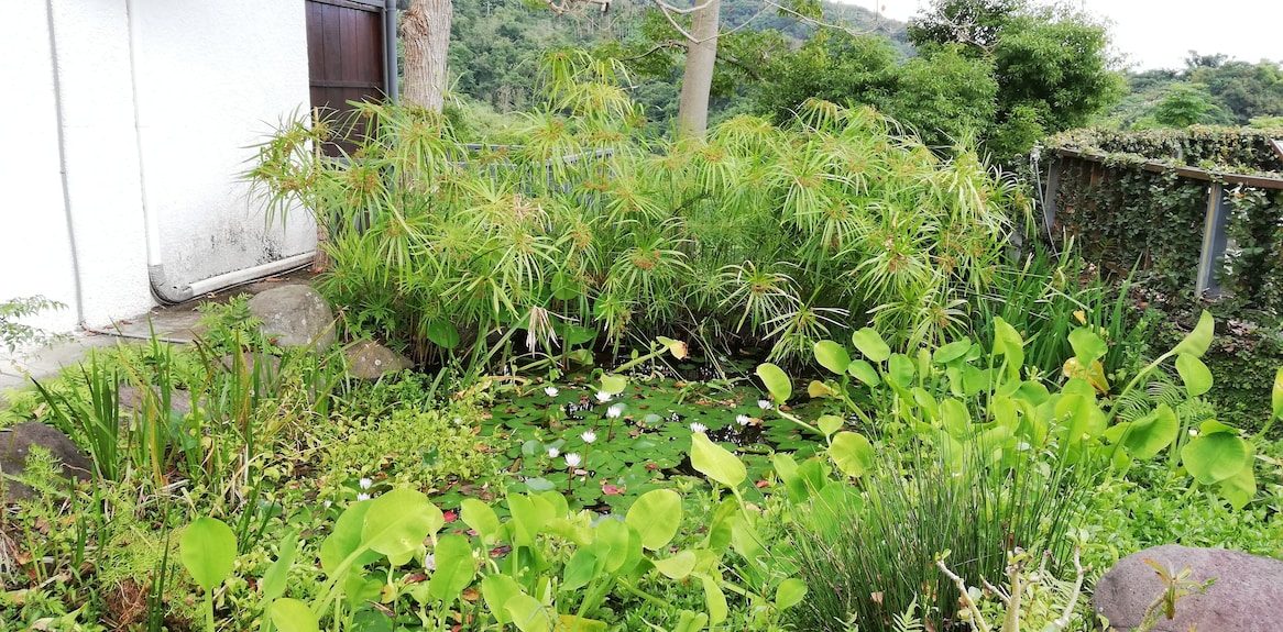 竹湖山居民宿評價、滑索體驗、自然美景與在地餐飲 – 山海秘境民宿 - 照片 6