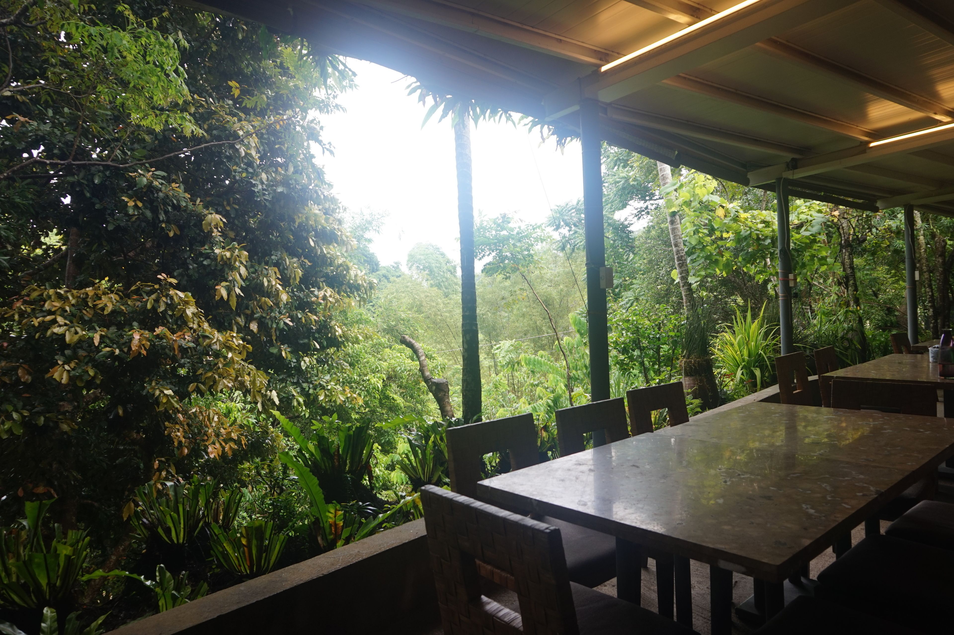 竹湖山居民宿評價、滑索體驗、自然美景與在地餐飲 – 山海秘境民宿 - 照片 5