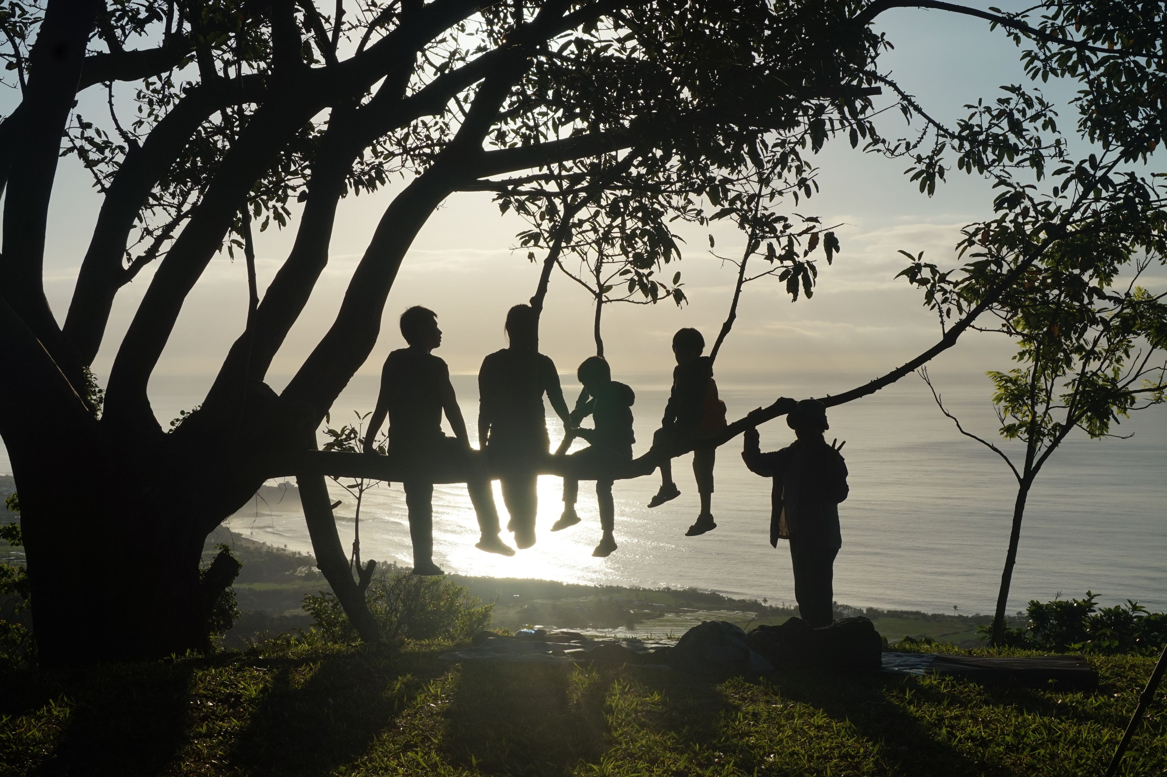A silhouette of a family on a rope bridge over a body of water, with trees framing the scene.