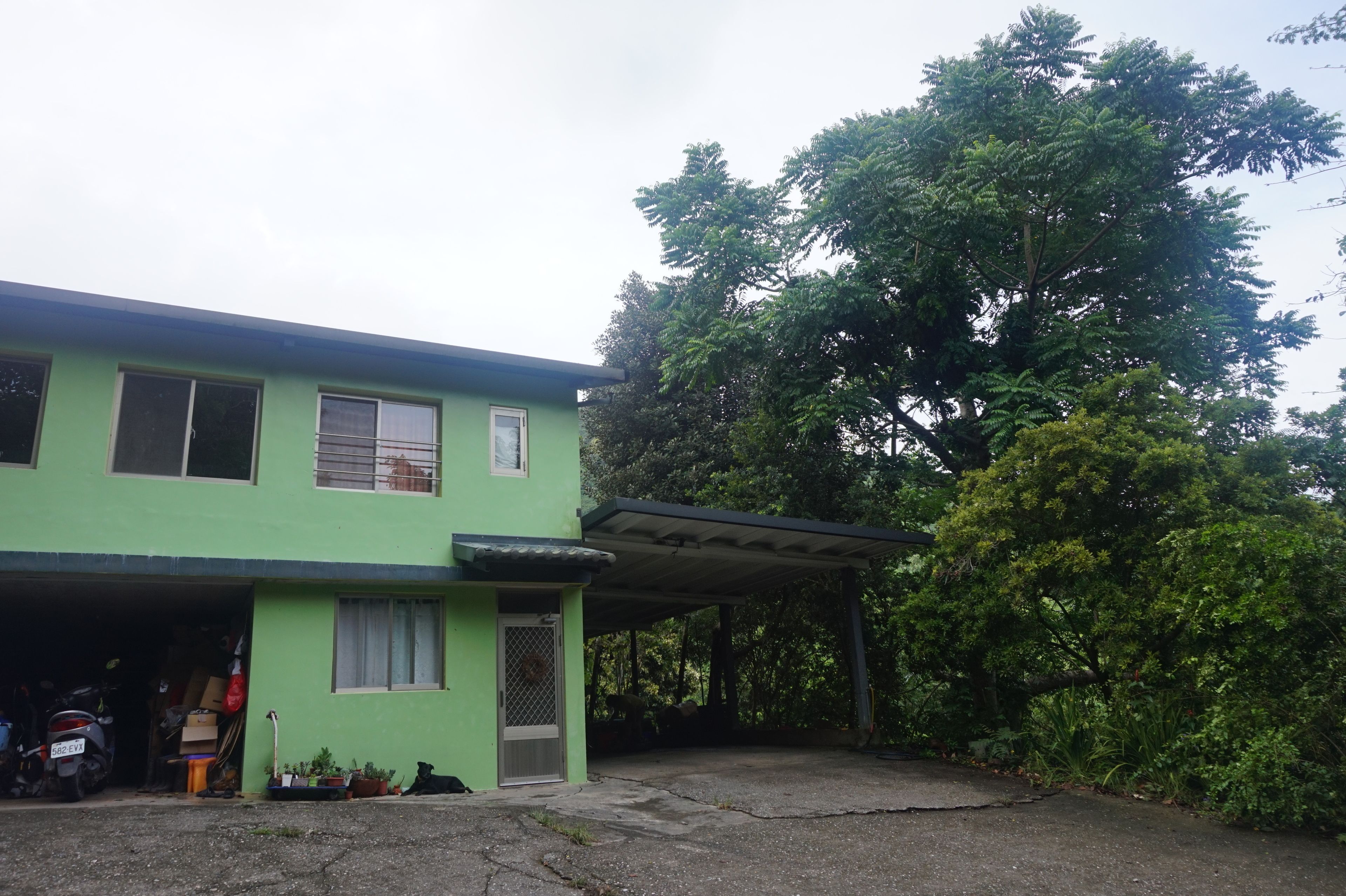 A green building with a garage, a covered porch, and a large tree in the background.