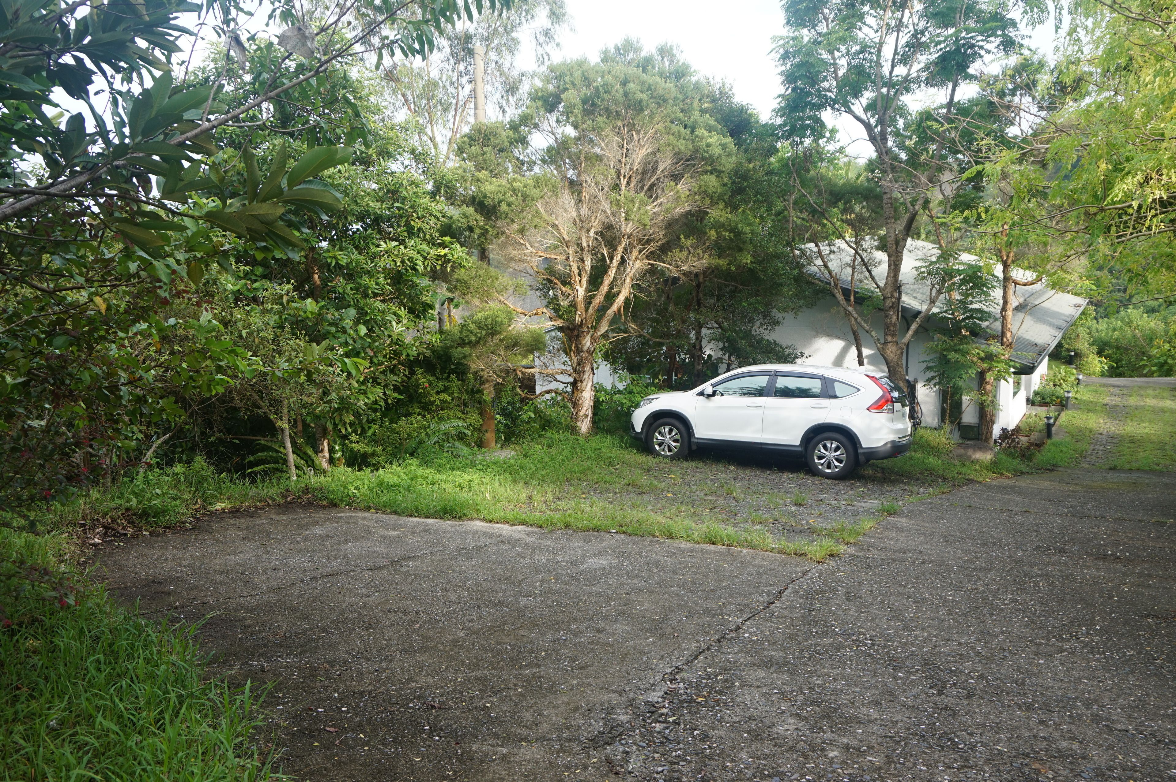 A white car parked on a paved driveway next to a house surrounded by lush greenery.