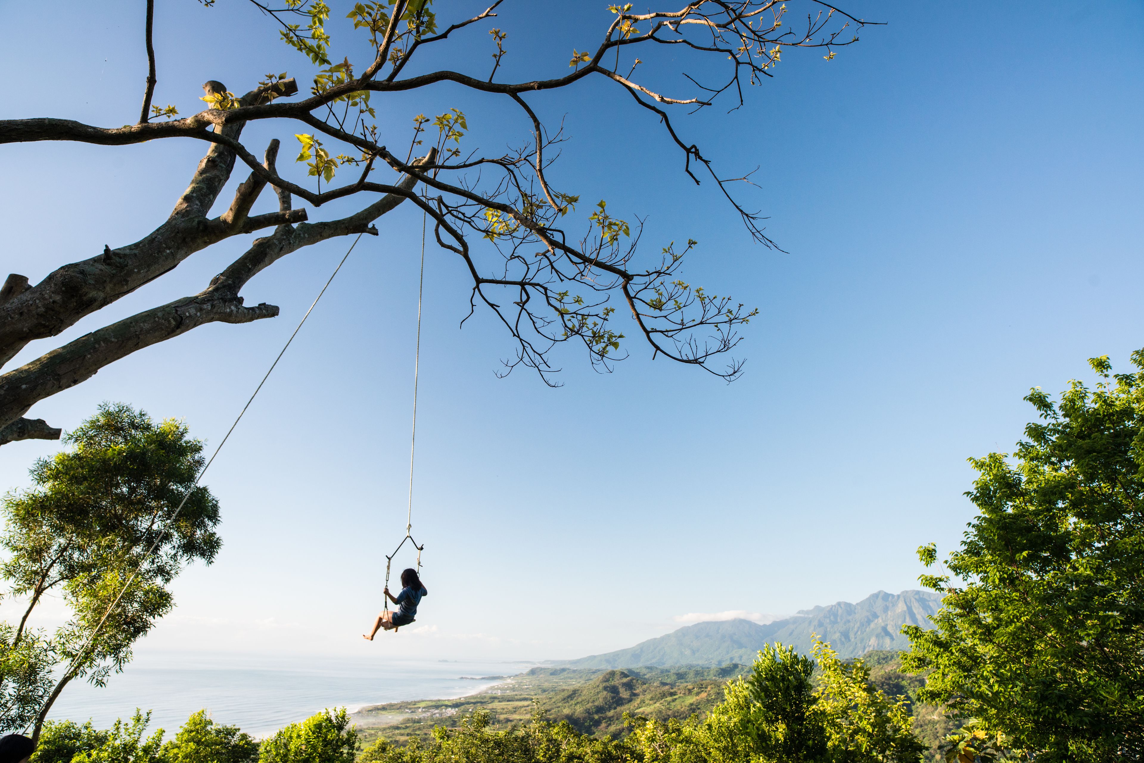 A person swinging on a rope from a tree branch over a scenic landscape.