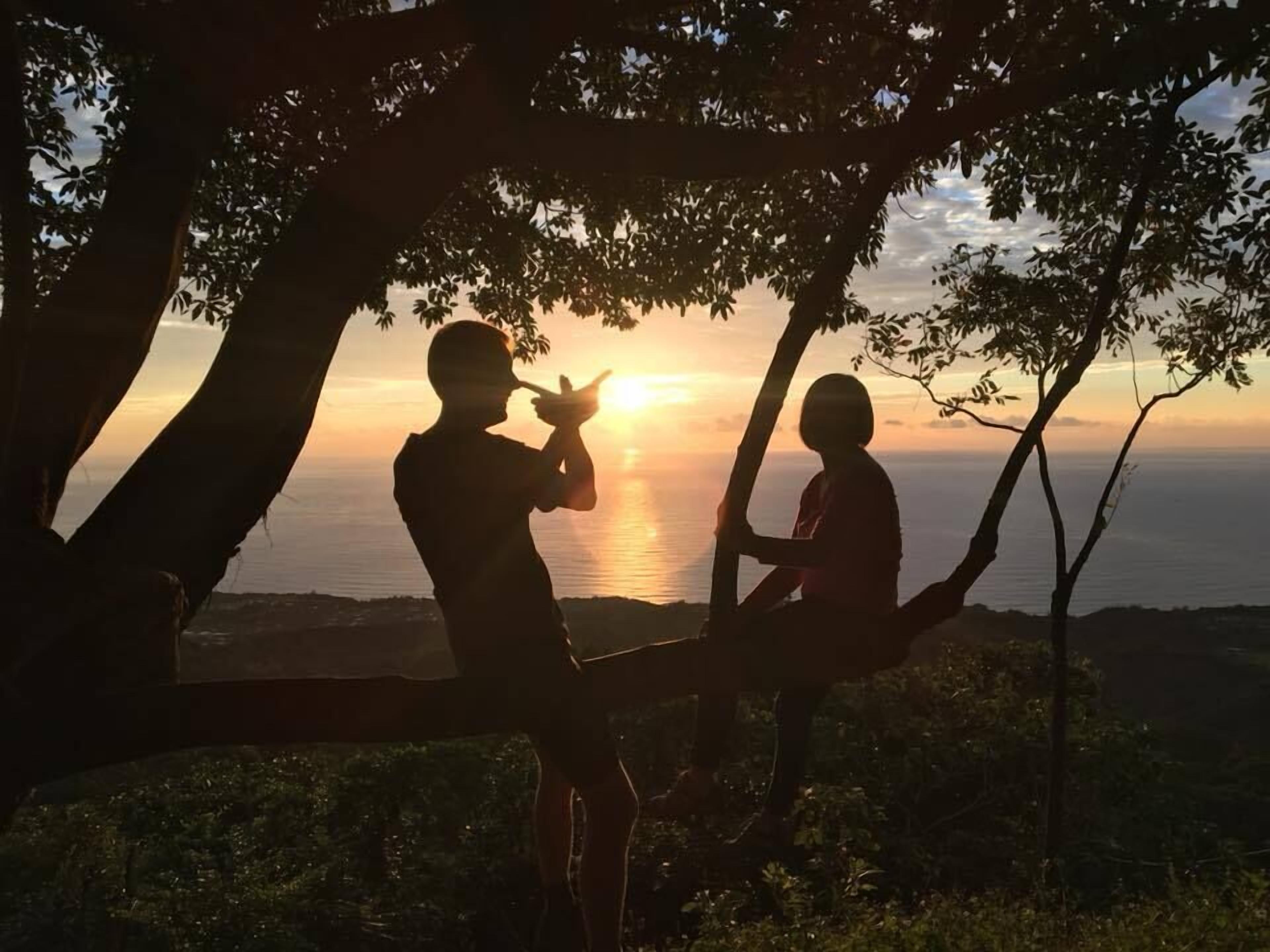 Dos siluetas al atardecer, sentadas bajo los árboles con vista al mar.