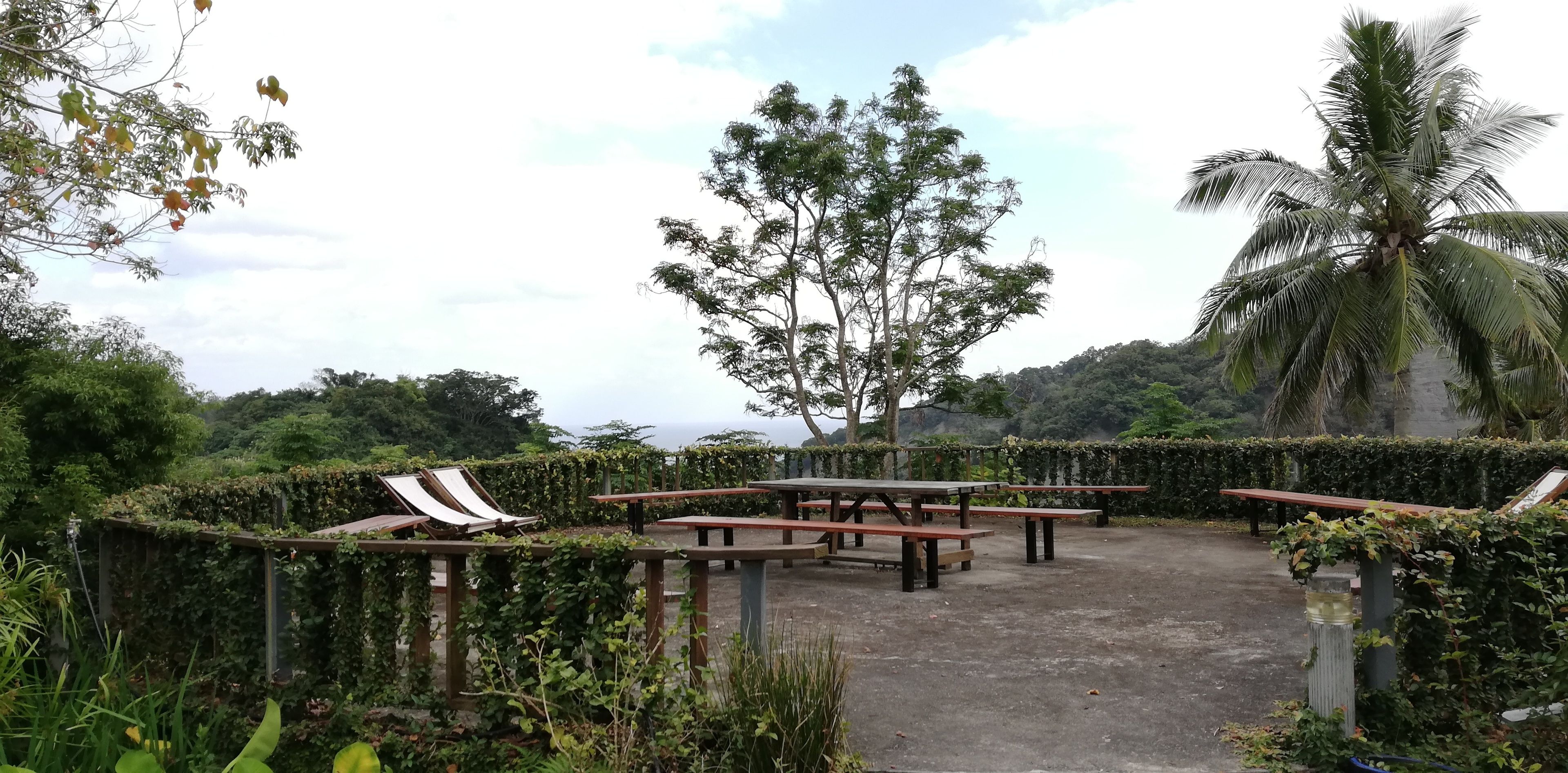 An outdoor seating area with picnic tables and lounge chairs, surrounded by lush greenery and a palm tree.
