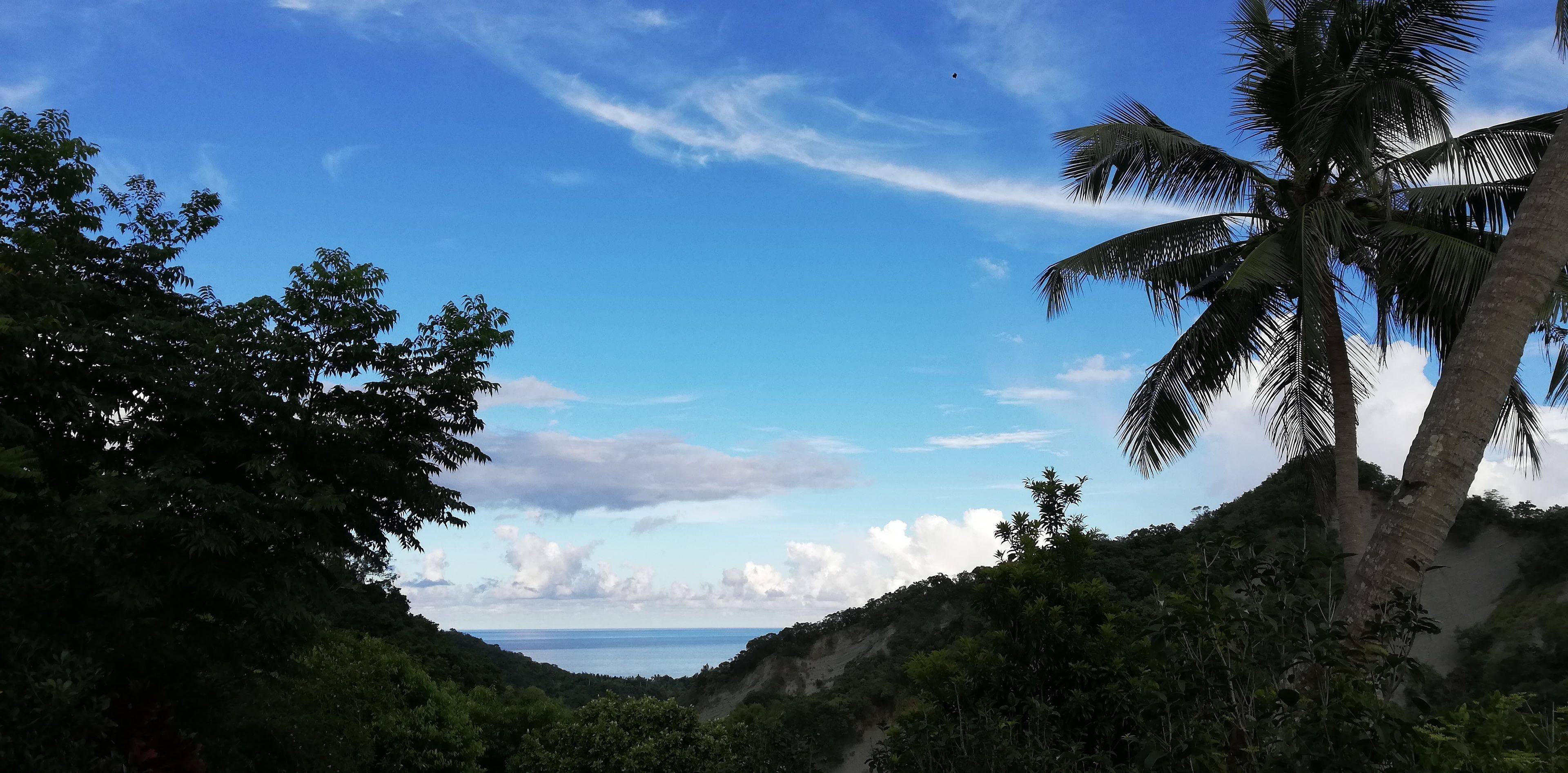 Un paisaje tropical con cielo despejado, palmeras y vista al océano.