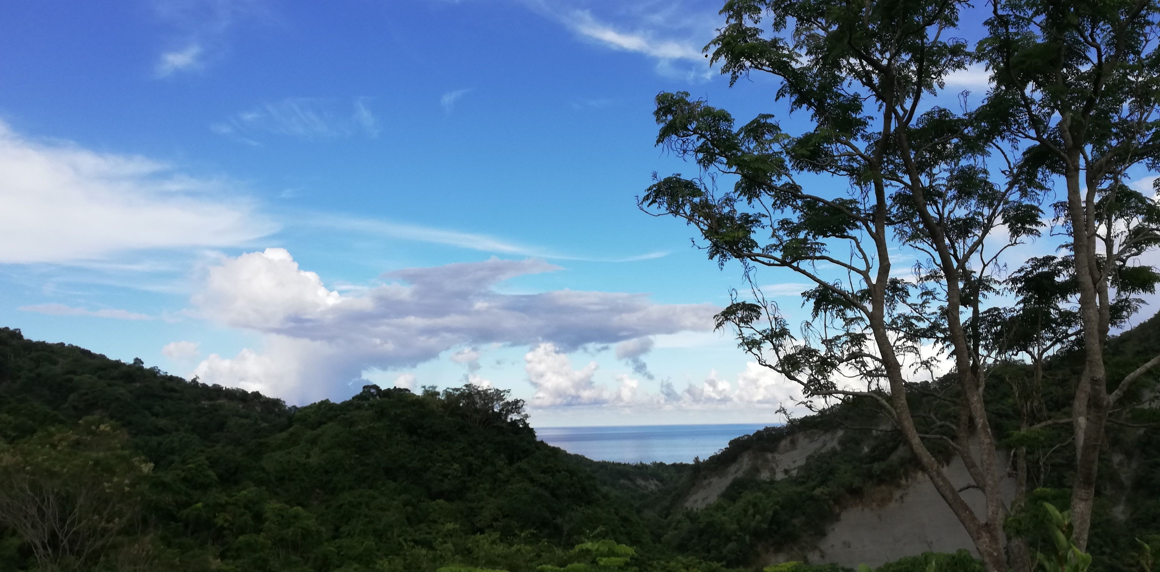 A coastal landscape with dense greenery and a clear view of the sea.