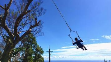 A person on a swing with a clear view of the ocean and a large tree in the foreground.