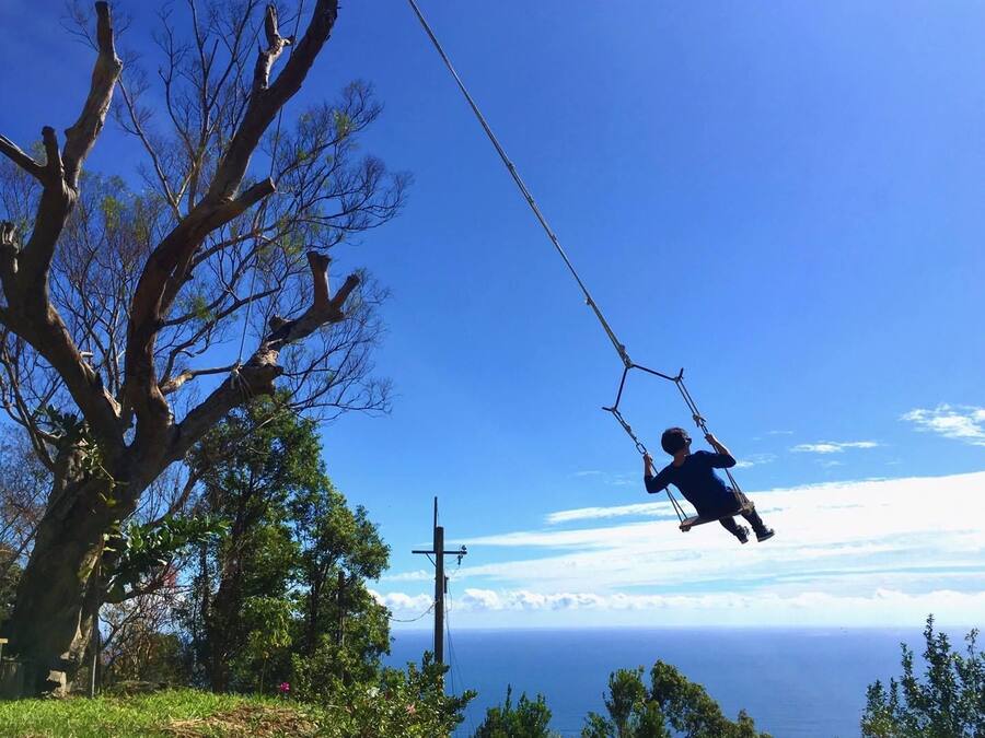 A person on a swing with a clear view of the ocean and a large tree in the foreground.