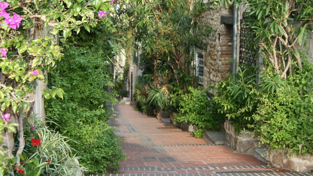 A narrow brick pathway flanked by lush greenery and flowering plants. - CHARMING T2 IN THE HEART OF THE OLD TOWN - QUIET - 100 M SEA AND MARKET (Antibes)