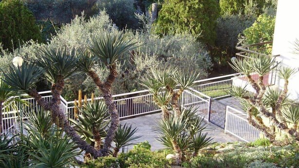 A landscaped garden with various plants and a white metal fence. - Residence La Carruba (Diano Marina)