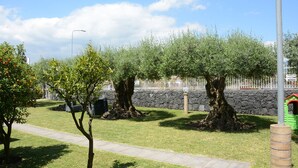 A well-maintained garden with neatly trimmed grass and a paved walkway. - Villa Galati Resort (Mascali)